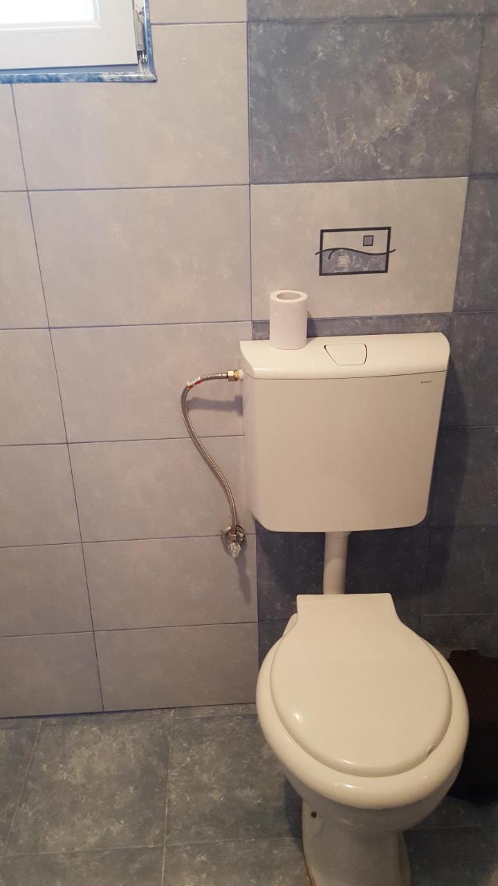 Villa Alex Slatina  Kültér fotó